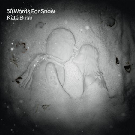 50_Words_For_Snow