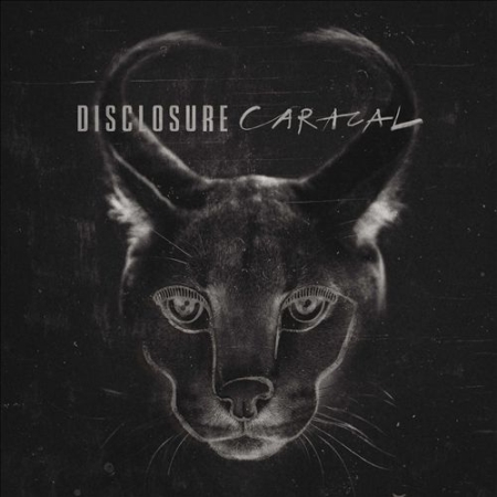 Disclosure__Caracal